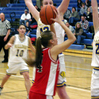 Bridget Enneking puts up a shot at Genesee.