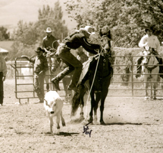 Cody Gehring in the calf roping.
