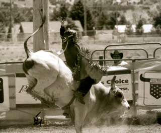 Shane Poxleitner was competitive in the bull riding.