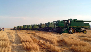 A lineup of the combines that were used to harvest Fred Arnzen's crop.