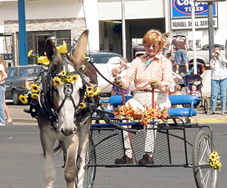 Kristi Kingma and her donkey cart.
