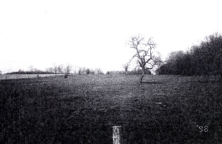 The open orchard where Julius and 7 others died on Oct. 1, 1918.