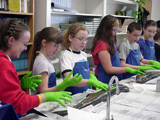The fifth graders with their salmon project.