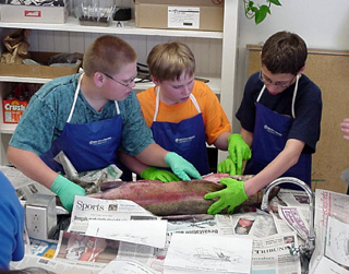 Some of the sixth graders.