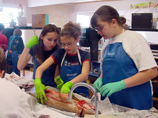 7th graders with their project.