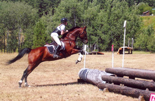NaTosha Schaeffer and her horse make a jump.