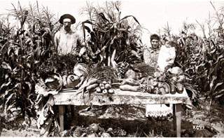 Menomonee River Boom Co. Garden, Marinett, WI, September 5, 1895 State Historical Society of Wisconsin. Another of the photos exhibited.