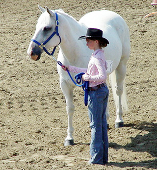 Tyler Workman, daughter of Rick & Laurie Workman, keeps her eyes on the judge during the Fitting & Showing Contest at the Idaho County 4-H Horse Show.