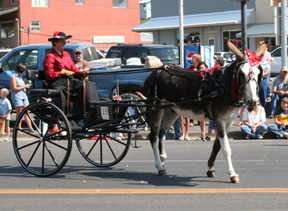 Kristi Kingma's donkey cart was the winning equestrian entry.