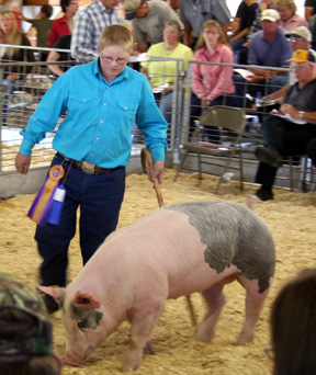 Justin DeFord with his grand champion hog.