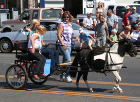 This mini-horse pulled cart was part of the second place equestrian entry.