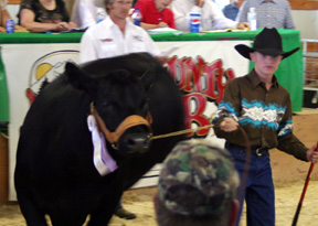 Lucas Arnzen wtih his reserve champion steer.