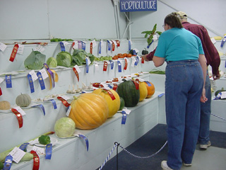 Checking out the vegetable exhibits.