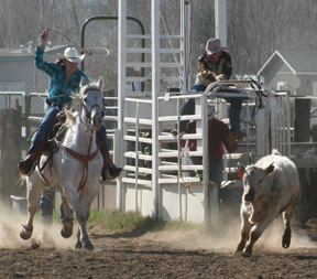 Taylor Ratcliff competes in calf roping.