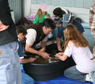 Panning for gold.