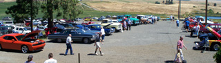 Some of the cars entered in the Raspberry Festival Show and Shine.
