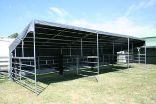 A new steer tie-up area in the steer pen.