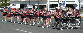 The PHS Cheerleaders.