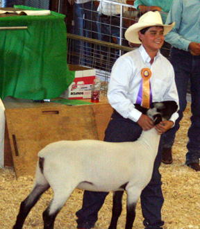 Drew Lindsley had the grand champion quality lamb.