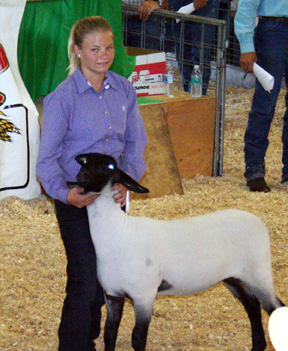 Kelsey Tidwell was reserve champion sheep showman.