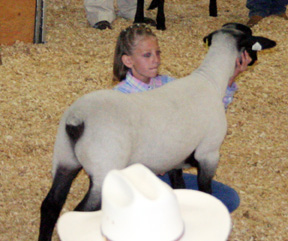 MiKayla Riener had the reserve champion quality lamb.