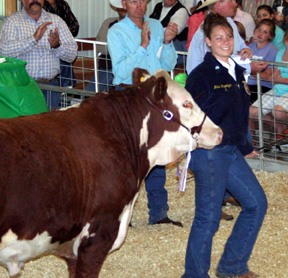 Mikel Harrington was grand champion steer showman and reserve champion Round Robin showman.