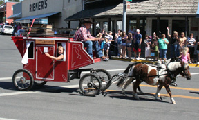 This pair of mini-horses drawing a mini-stagecoach was part of a mini-horse entry by Judy Uhlorn and Bobbi Tidwell that took first among equestrian entries.