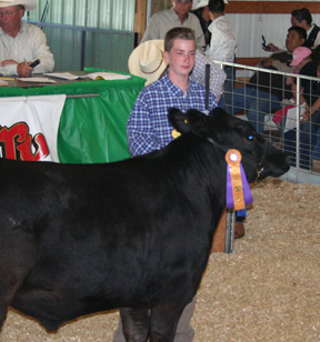 Walt Thanstrom had the grand champion quality steer.