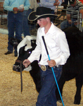 Wyatt Williams was reserve champion steer showman.