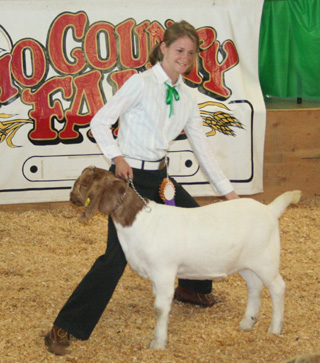 For the first time ever, market goats were sold at the Fair. Kathleen Lusich of Kamiah was grand champion for both quality and showmanship.