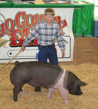 The grand champion quality hog shown by Zach Frei of Grangeville.