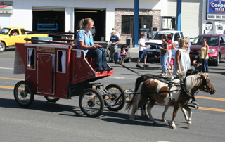 Part of the Tidwell/Uhlorn mini-horse entry which took first among equestrian entries.