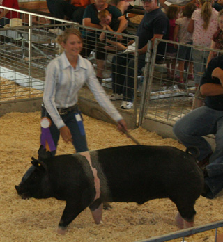 Kristin Kaschmitter of Grangeville was grand champion showman for market swine.