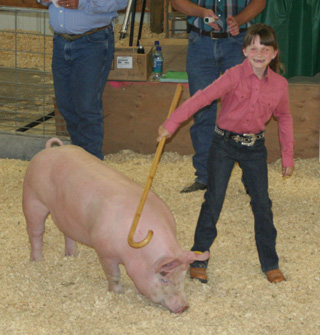 Madison Pecarovich with her reserve champion quality hog.