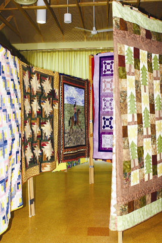 Last years Raspberry Festival Quilt Show.