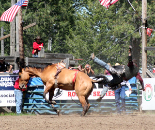 This cowboys ride ended early at the Winchester Open Rodeo. Photo by Steve Wherry.