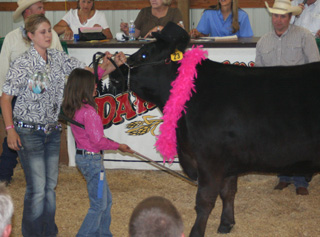 The best dressed steer at the sale belonged to Sydney Schoo.