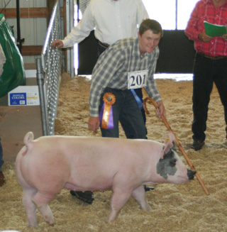 Clay Schumacher was grand champion showman for hogs.