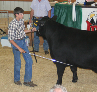 Lance Goeckner had the reserve champion quality steer.