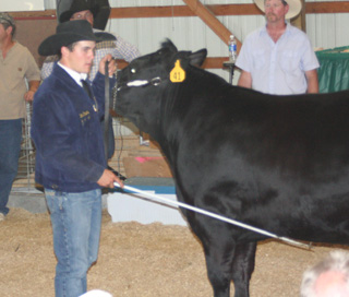 Tate Stowers was grand champion showman for market beef and was the reserve champion overall showman.