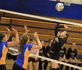 Megan Silger goes for a spike against Nezperce.