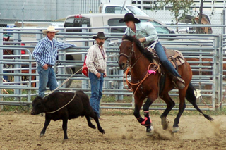 MaKayla Schaeffer catching her calf right out of the box in break away. Photo by Michelle Schaeffer.