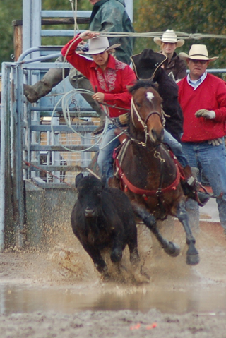 Callie Mader looks for a good shot in break a way