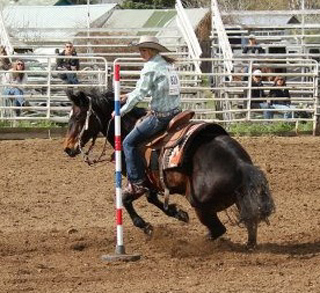 Callie Mader competes in the poles at the high school rodeo at Asotin on Saturday. Photo by Michelle Schaeffer.