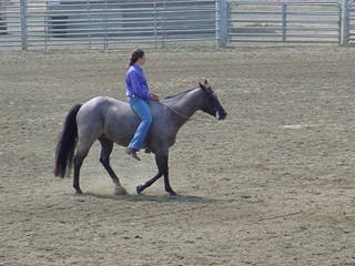 Selena Davila, of the Cottonwood Saddliers 4-H Club, keeps her eyes on the judge during the Bareback Equitation Class.