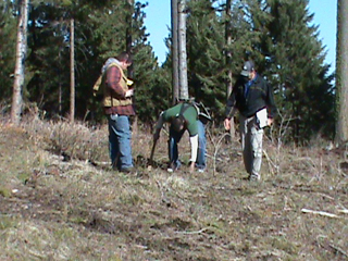 Foresters place seedlings in the ground near NICI in celebration of Arbor Day. Photo provided by NICI.