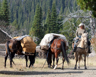 Sandy Enneking about to lead her packstring down the trail from Windy Saddle, Seven Devil's Wilderness Area.