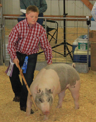 Cottonwood's Dereck Arnzen had the reserve champion quality hog.