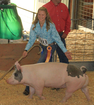 Kristin Kaschmitter, here showing her hog at the sale, was the Round Robin Grand Champion Showman this year. She qualified as the grand champion showman for horses.