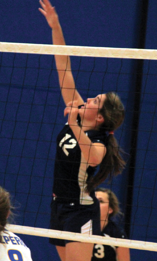 Megan Seubert spikes the ball at District.